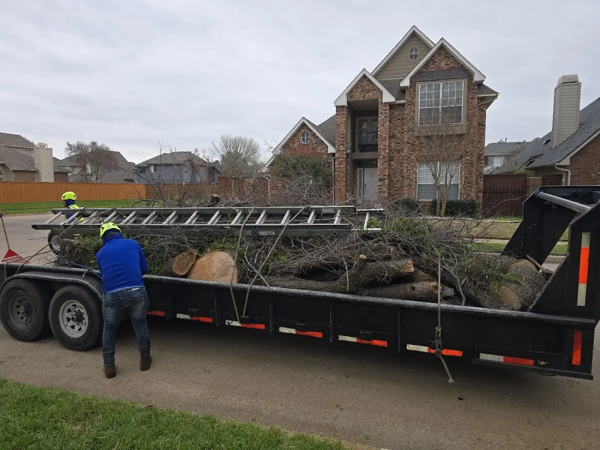Expert Tree Fertilization with proper safety equipment in Lyford